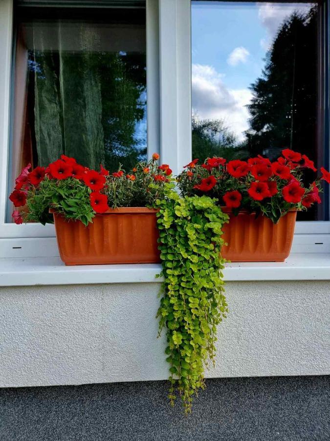 Haus Bierherr ماريازيل المظهر الخارجي الصورة