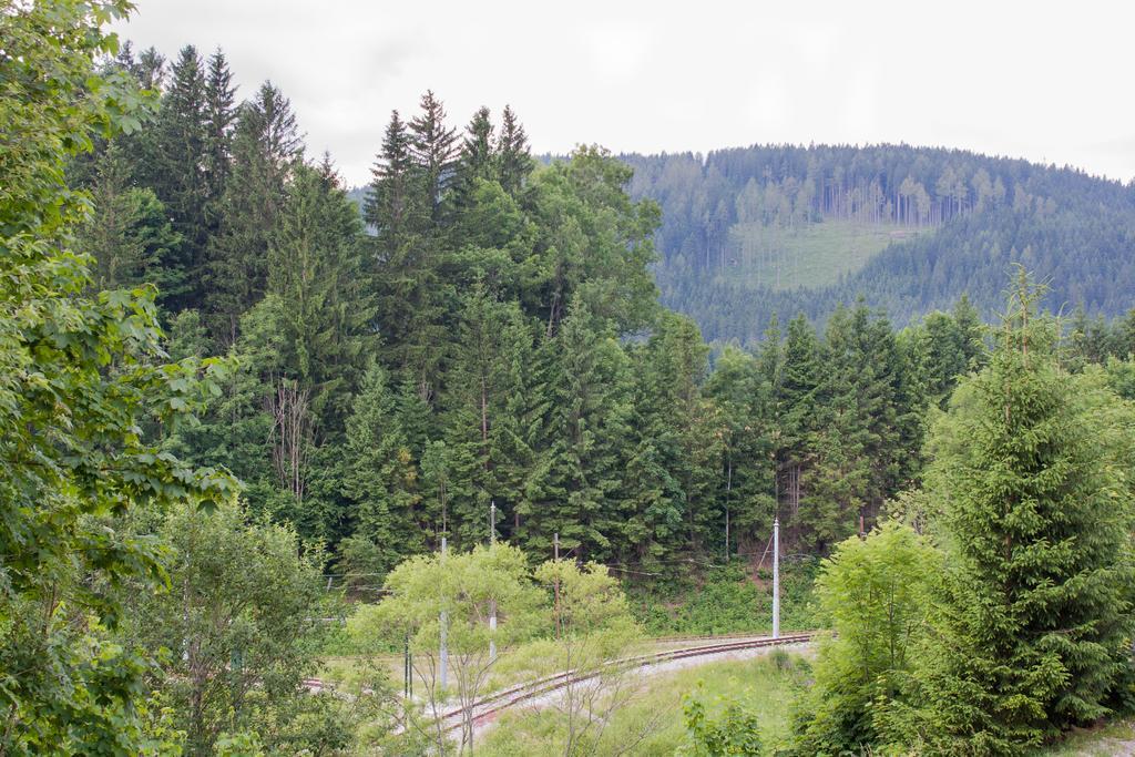 Haus Bierherr ماريازيل المظهر الخارجي الصورة
